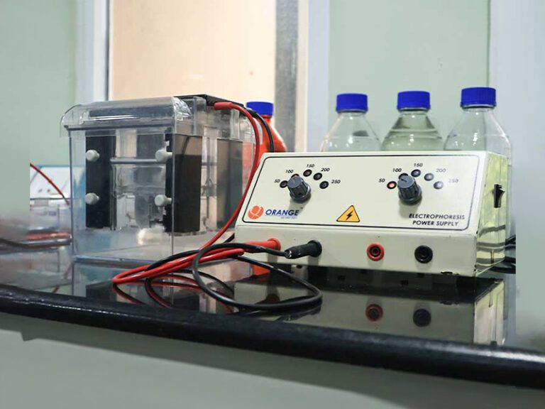 SDS-PAGE-Electrophoresis---Vertical